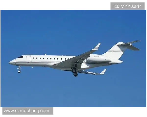 全球体育明星私人飞机奢华排名揭晓谁是空中巨星的领军人物