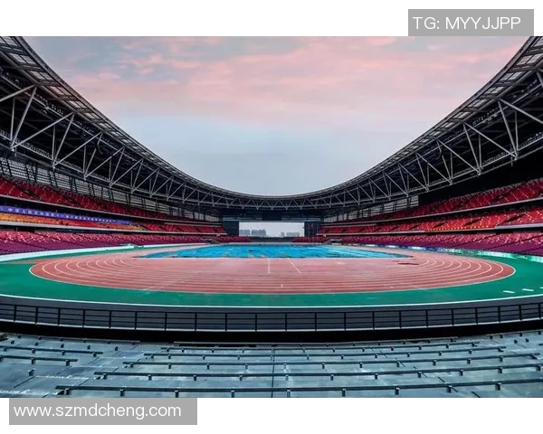 奥林匹克新增项目解析与展望：如何推动体育多样性与全球参与热情